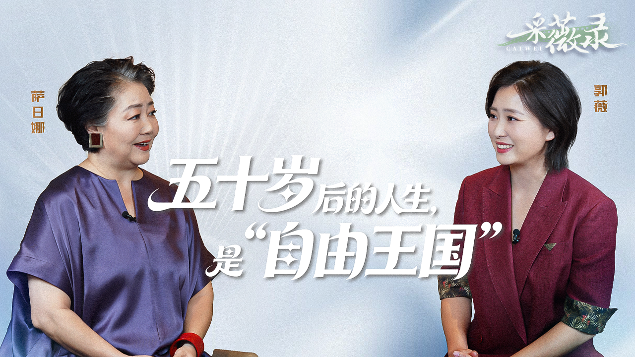 国际原子能机构:扎波罗热核电站主输电线路开始维修