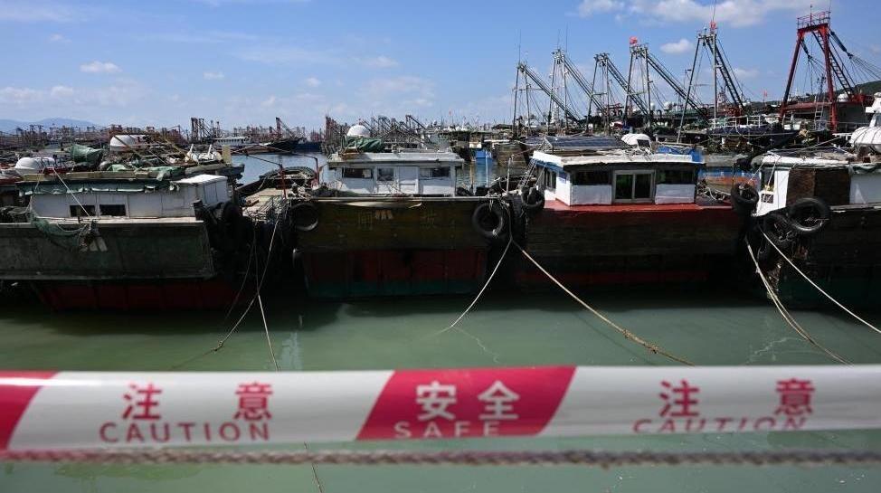 哀牢山发现全球仅千只的鸟