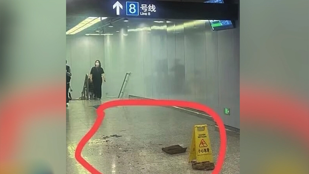 心动的信号
