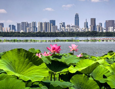 高清在线播放