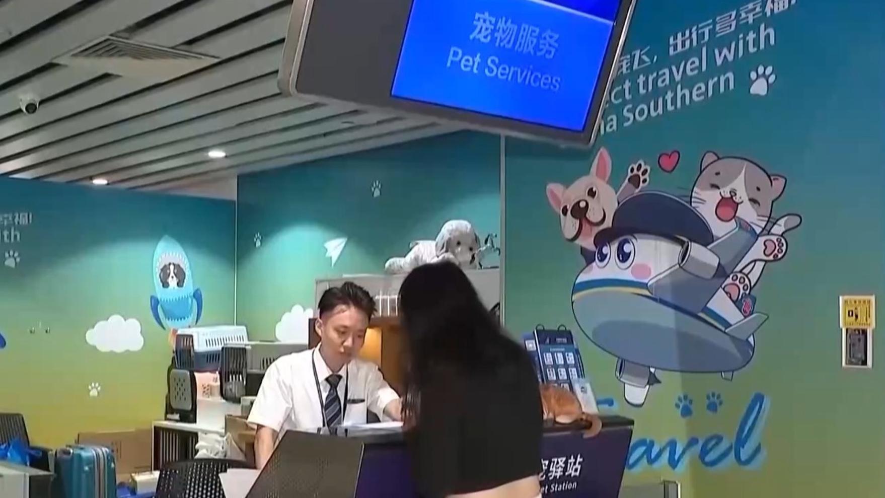林诗栋蒯曼冠军