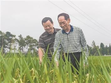 听泉鉴宝被指塌房四大疑问待解