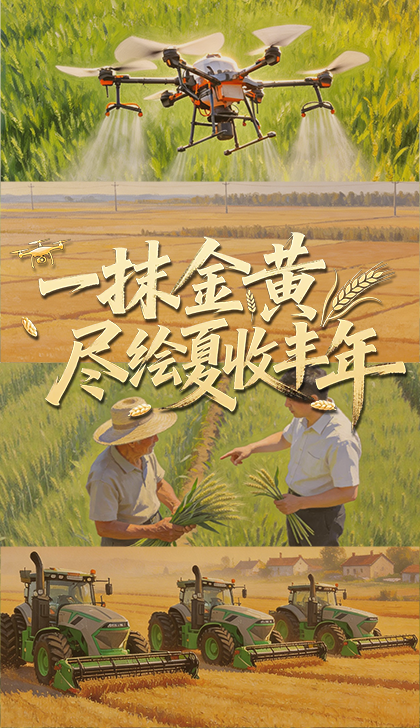 林诗栋比张本智和