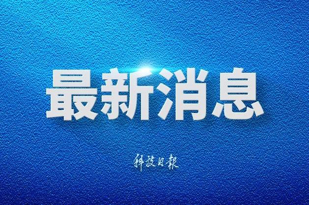 双十一定金