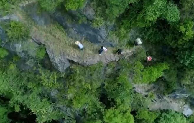 首破2万亿元 中国广告业最新“成绩单”出炉