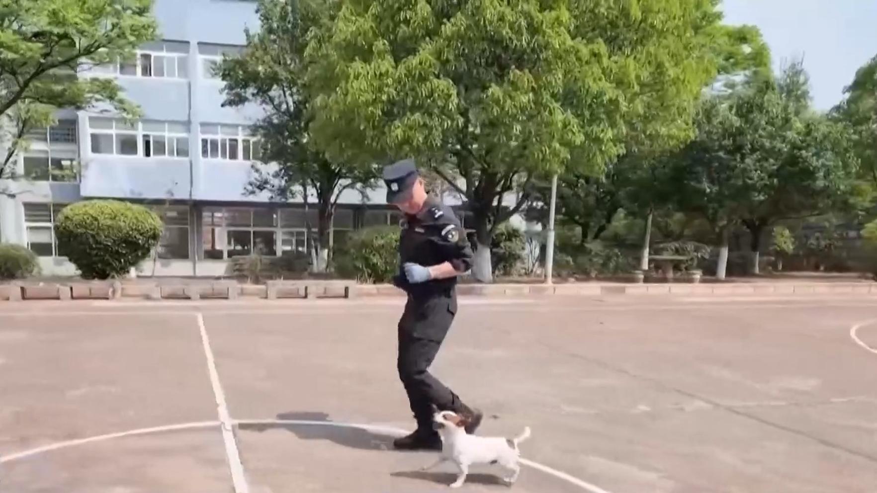 最近中文字幕在线看免费完整版_最好看的中文字幕MV电影_中文在线字幕免费观看电视剧_最近中文字幕MV高清在线电影-中文字幕影院