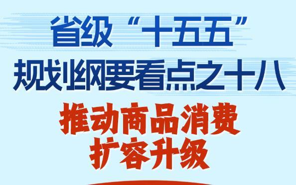 国际原子能机构：扎波罗热核电站主输电线路开始维修