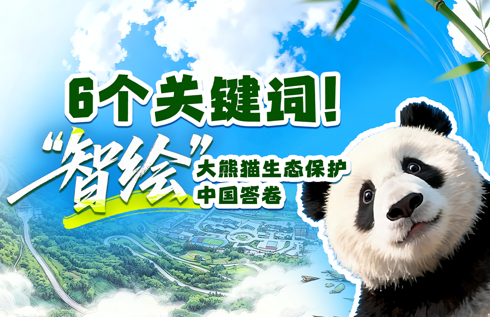 旅美大熊猫一家今晚抵达成都